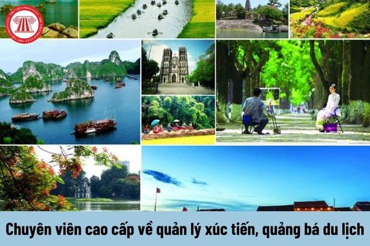 Hotspot Matrix và Bé Ê Phở hot rần rần khắp MXH: 