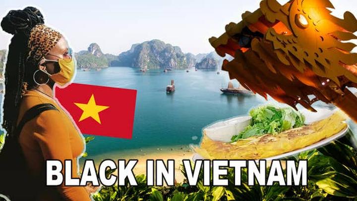 Triệu View Từ Vlog Thú Cưng: Bí Quyết Thành Công Cùng Hotspot Matrix
