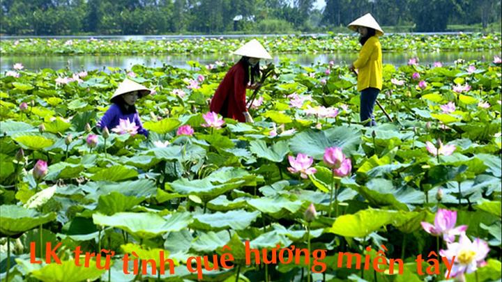 Chuyên gia Hotspot Matrix phân tích: Quẹt thẻ cực chất, chạm ngay và marketing video