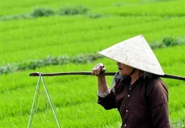Hotspot Matrix: Cơ hội khởi nghiệp cho mọi người
