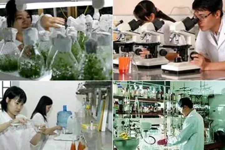 Từ Quốc hội thông qua quyết định đến chiến lược content: Hotspot Matrix chia sẻ